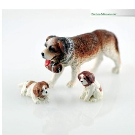 St bernard hond met puppies