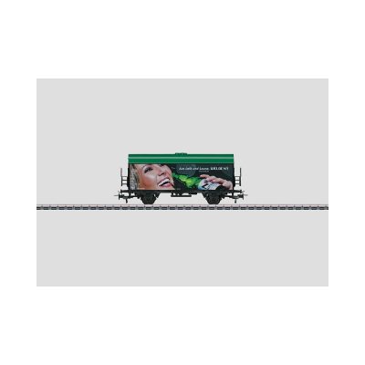 44202